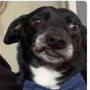 Meet your Posher, Daniela